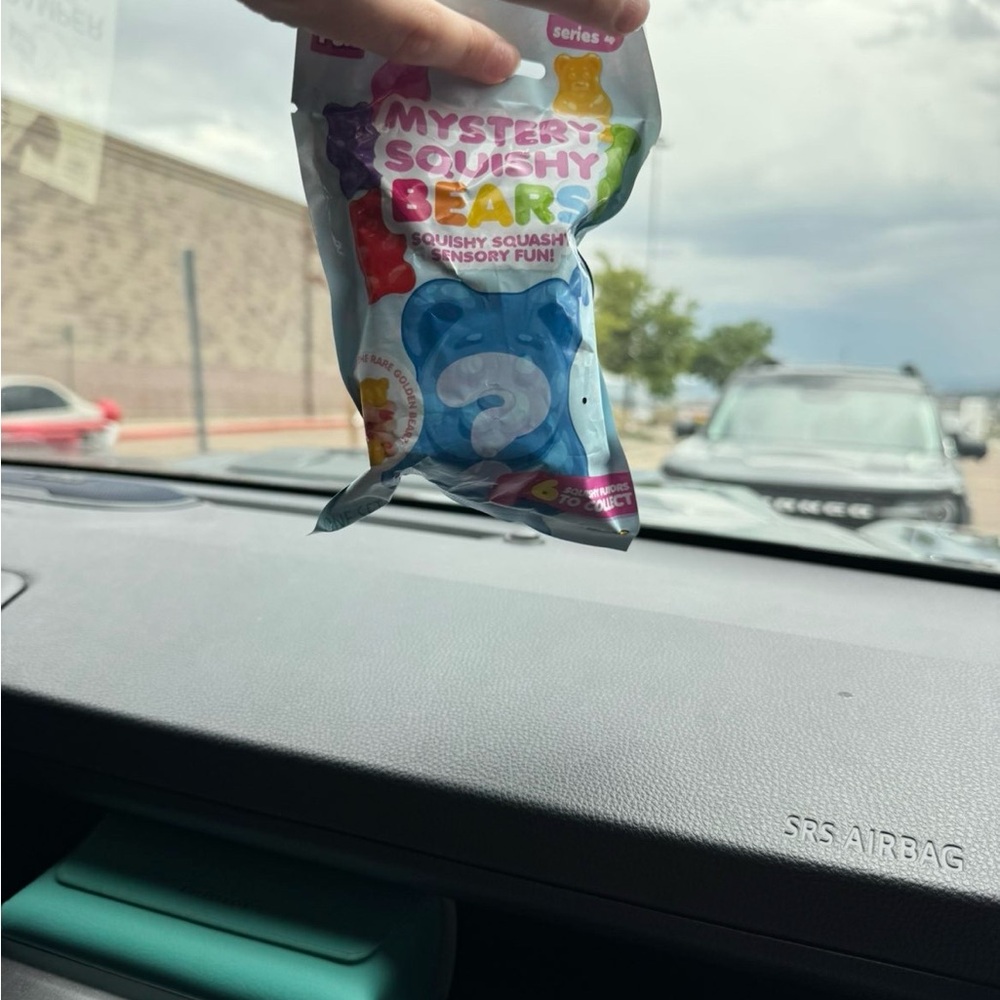 Mystery Squishy Bears Blue Squishy Toy